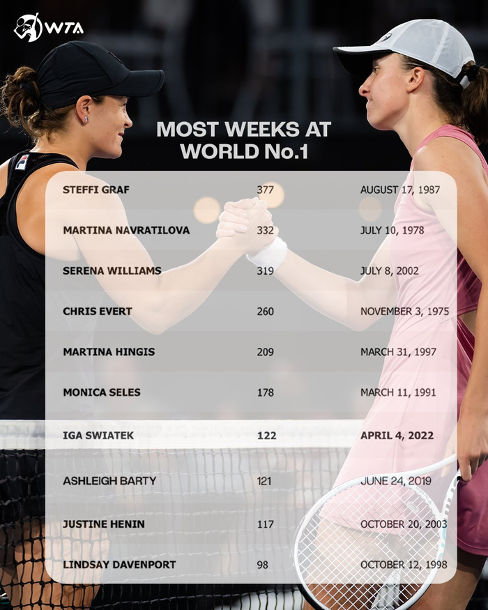 排名提升的 排名提升的